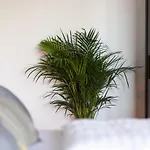 Appartement Stilvolles Inmitten Der Altstadt Duisburg