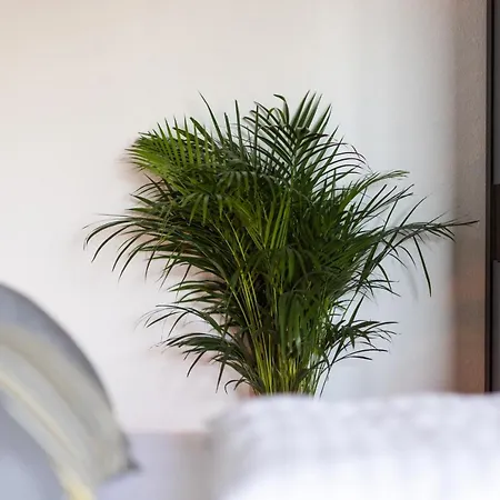 Lägenhet Stilvolles Inmitten Der Altstadt Duisburg