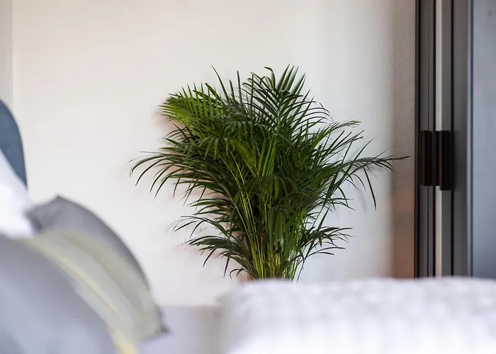 Apartment Stilvolles Inmitten Der Altstadt Duisburg